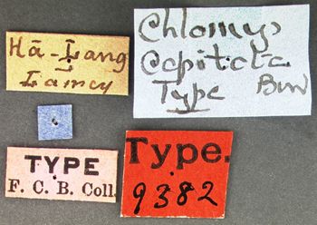 Media type: image; Entomology 9382   Aspect: labels